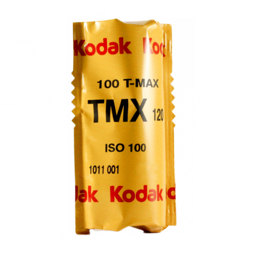 Kodak 100 Tmax Arcanes