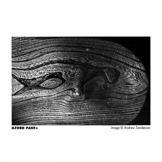 exemple Ilford PANF Plus 50 ISO Arcanes Labo Photo Montpellier